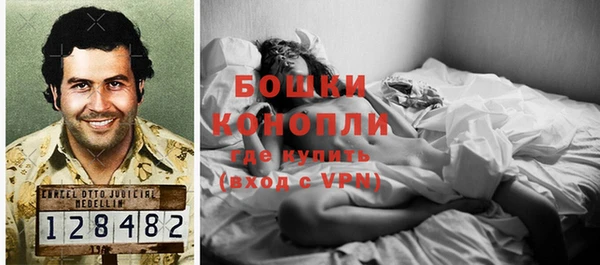 спайс Баксан